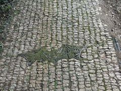 -苏州上方山国家森林公园