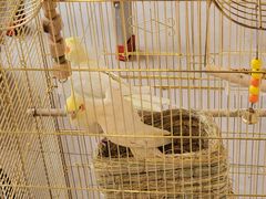 -潇湘·永州会馆(百子湾店)