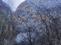 -龙门涧景区