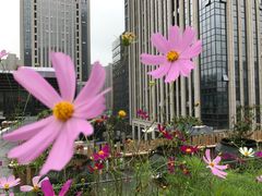 -瓦库茶馆17号(海汇港店)