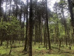 -石棉县孟获城