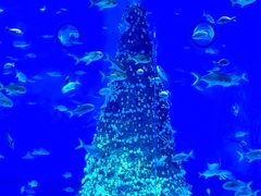 -上海海昌海洋公园