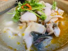 -大鼎石锅鱼(春江里店)