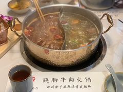 -菌子鲜汤野生菌锅