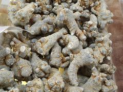 -粤海大药房(粤海广场店)