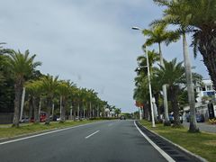 -黄金海岸环岛路