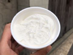 椰子雪糕-洪馨椰子