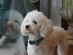 -默迹咖啡馆