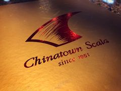 -中国城银都鱼翅酒楼