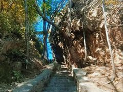 -香炉山国家森林公园