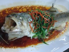 -院里寻菜·祖庵菜宴请(观沙岭店)