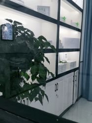 点击看大图 -蕾特恩专业祛痘·皮肤管理