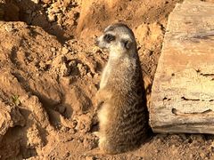 -济南野生动物世界