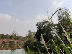 -白鹭湾湿地公园