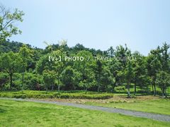 景点-东钱湖旅游度假区