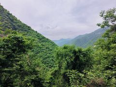 -太平万花山景区