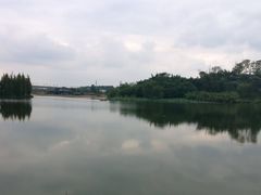 -白鹭湾湿地公园