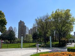 -新虹桥中心花园