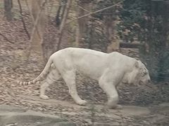 -杭州野生动物世界