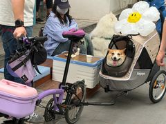 -BE YOLO必有乐&小红帽三明治