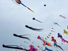 -潍坊滨海云门国际风筝放飞场