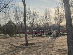 -爪吧宠物乐园 (温榆河示范区店)