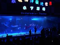 -泉城欧乐堡海洋极地世界