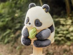 -都江堰中华大熊猫苑