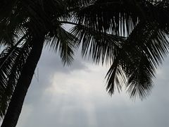 -深圳湾公园(南山区)
