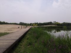 -东郊湿地公园
