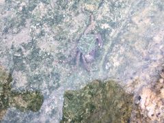 -台山黑沙湾海浴场