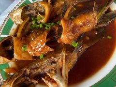 红烧鸡格朗-洞天食府(北大街店)