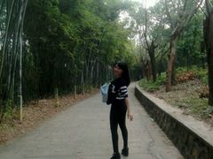 -广东茂名森林公园