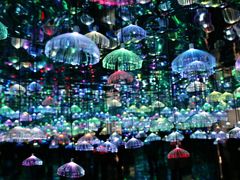 -天津梵高星空艺术馆(天河城旗舰店)