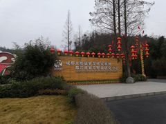 -都江堰中华大熊猫苑