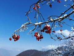 -太子岭滑雪场