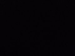 -老四东北烧烤(桂园路店)