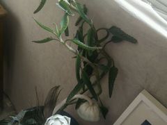 android_upload_pic-情侣·团建·手作工坊(虹桥汇金百货店)