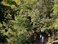 -广州白江湖森林公园