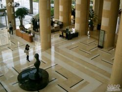 CIMG5011-上海浦东喜来登由由大酒店·宴会厅