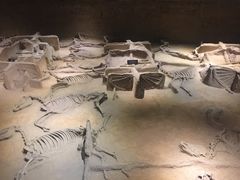 -洛阳周王城天子驾六博物馆