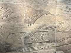 -白鹤梁水下博物馆