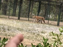 -秦皇岛野生动物园