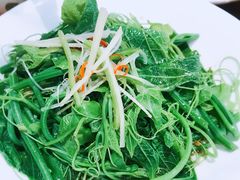 -巴依老爷新疆美食(望京小街店)