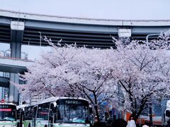 -上海南浦大桥长途旅游客运站
