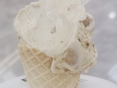 -野人先生现做冰淇淋(西安赛格店)
