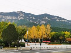 -佛慧山