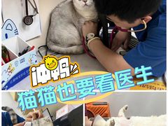 -芭比堂动物医院·24小时·眼科中心(深圳中心)