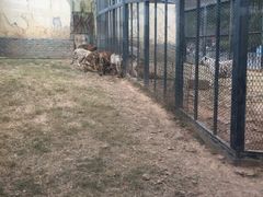 -无锡动物园·太湖欢乐园