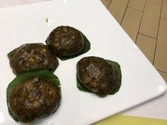 -鹅城